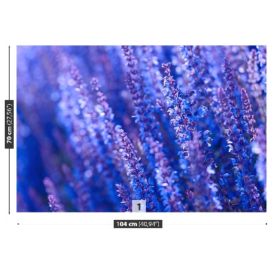 Zelfklevend fotobehang Lavendel bloemen