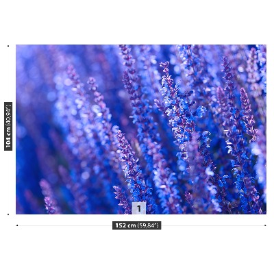 Zelfklevend fotobehang Lavendel bloemen