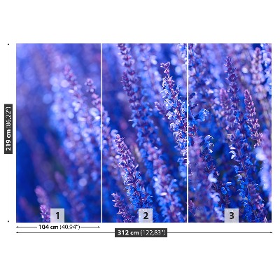 Zelfklevend fotobehang Lavendel bloemen