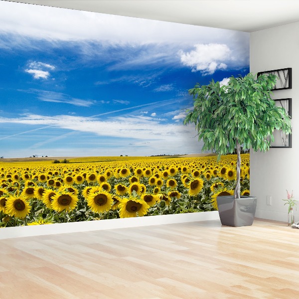 Fotobehang Zonnebloemen veld