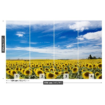 Fotobehang Zonnebloemen veld