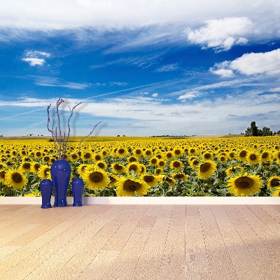 Fotobehang Zonnebloemen veld