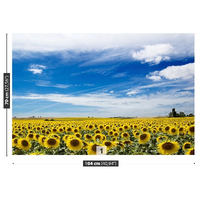 Fotobehang Zonnebloemen veld