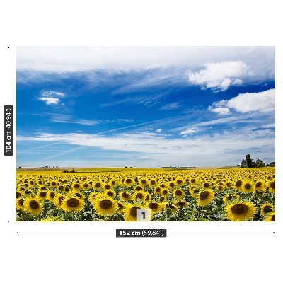 Fotobehang Zonnebloemen veld