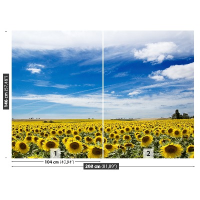 Fotobehang Zonnebloemen veld