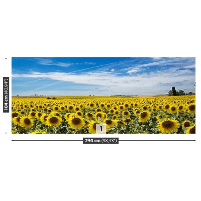 Fotobehang Zonnebloemen veld