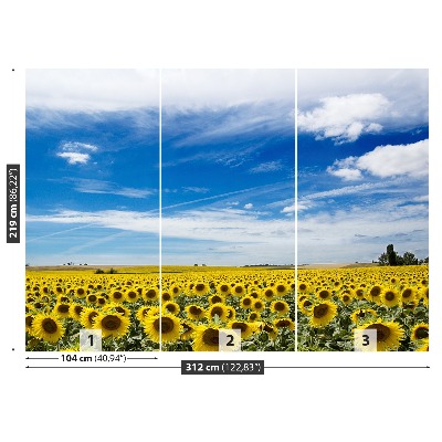 Fotobehang Zonnebloemen veld