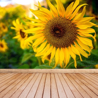 Zelfklevend fotobehang Gele zonnebloemen