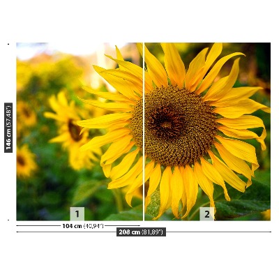 Zelfklevend fotobehang Gele zonnebloemen