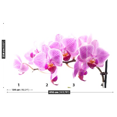 Zelfklevend fotobehang Roze orchidee