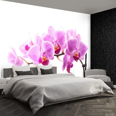 Zelfklevend fotobehang Roze orchidee