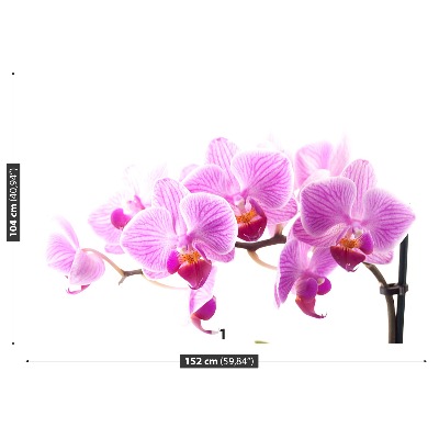 Zelfklevend fotobehang Roze orchidee