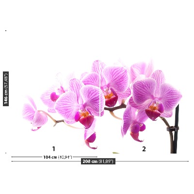 Zelfklevend fotobehang Roze orchidee