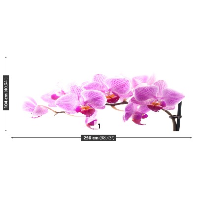 Zelfklevend fotobehang Roze orchidee