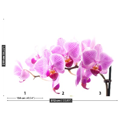 Zelfklevend fotobehang Roze orchidee