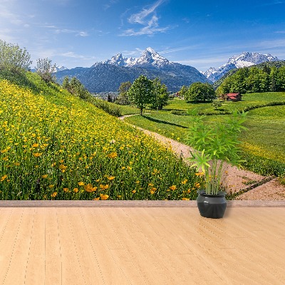 Fotobehang Idyllische alpen