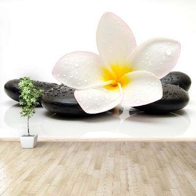 Zelfklevend fotobehang Plumeria-stenen