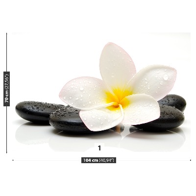 Zelfklevend fotobehang Plumeria-stenen