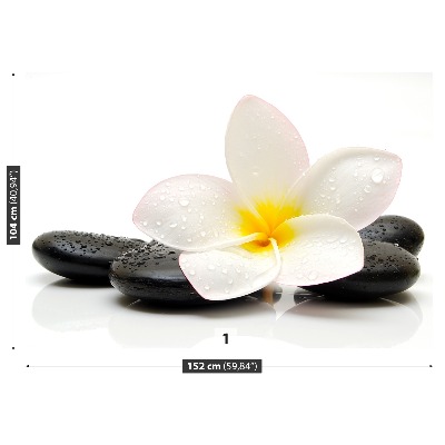 Zelfklevend fotobehang Plumeria-stenen