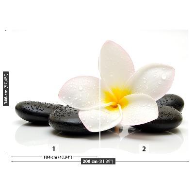 Zelfklevend fotobehang Plumeria-stenen