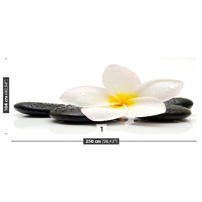 Zelfklevend fotobehang Plumeria-stenen