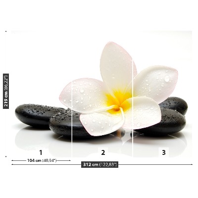 Zelfklevend fotobehang Plumeria-stenen