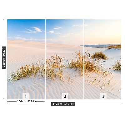 Fotobehang Duinen zee