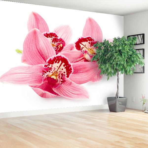 Zelfklevend fotobehang Roze orchidee