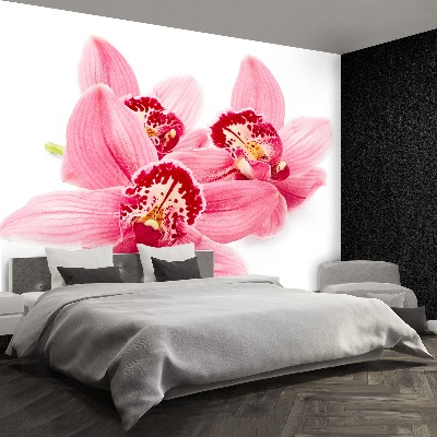 Zelfklevend fotobehang Roze orchidee