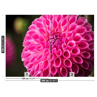 Zelfklevend fotobehang Dahlia roze