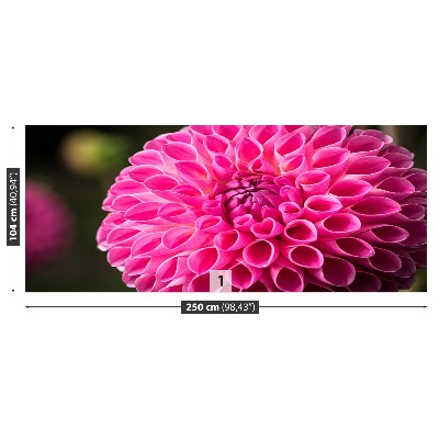 Zelfklevend fotobehang Dahlia roze