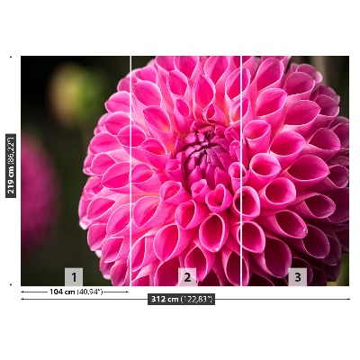 Zelfklevend fotobehang Dahlia roze