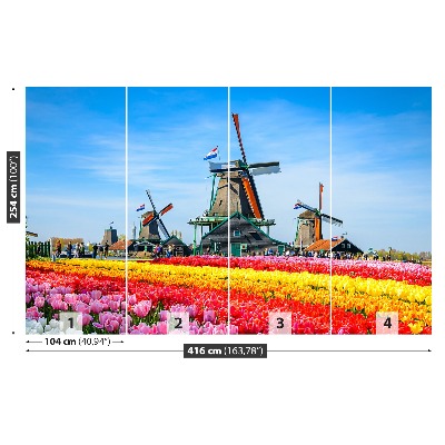 Fotobehang Tulpen windmolens