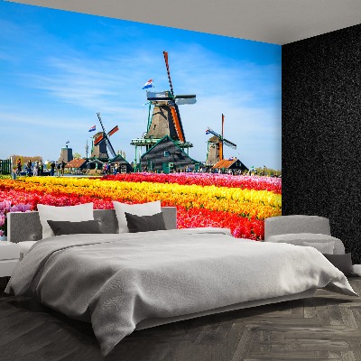 Fotobehang Tulpen windmolens