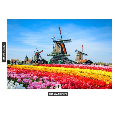 Fotobehang Tulpen windmolens