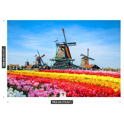 Fotobehang Tulpen windmolens