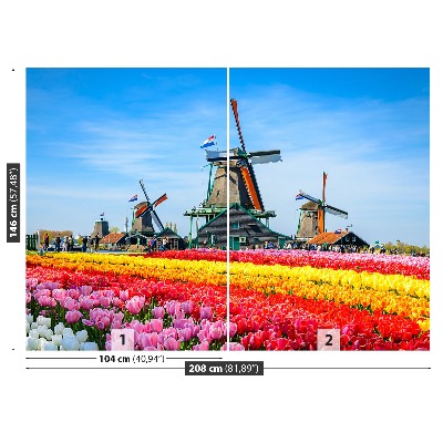 Fotobehang Tulpen windmolens