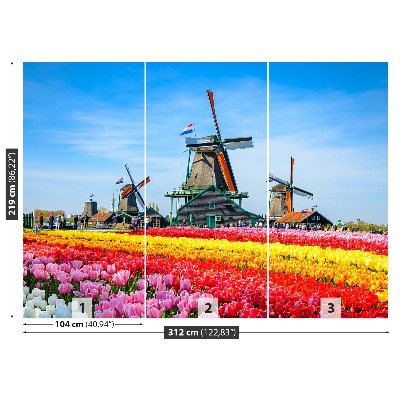 Fotobehang Tulpen windmolens