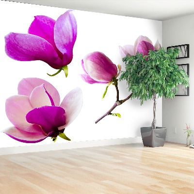 Zelfklevend fotobehang Magnolia bloemen