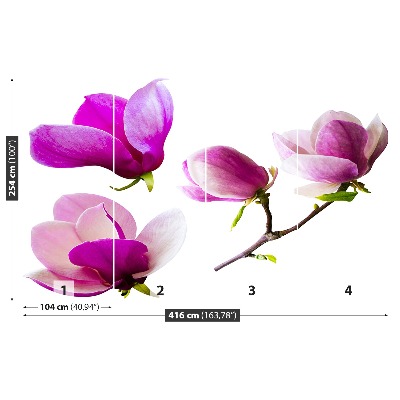 Zelfklevend fotobehang Magnolia bloemen