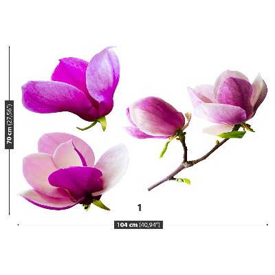 Zelfklevend fotobehang Magnolia bloemen