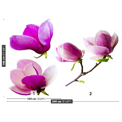 Zelfklevend fotobehang Magnolia bloemen