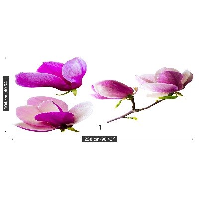 Zelfklevend fotobehang Magnolia bloemen