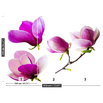 Zelfklevend fotobehang Magnolia bloemen