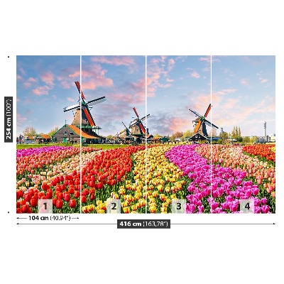 Fotobehang Tulpen windmolens