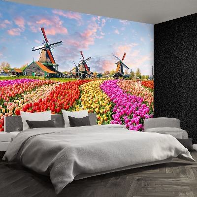 Fotobehang Tulpen windmolens