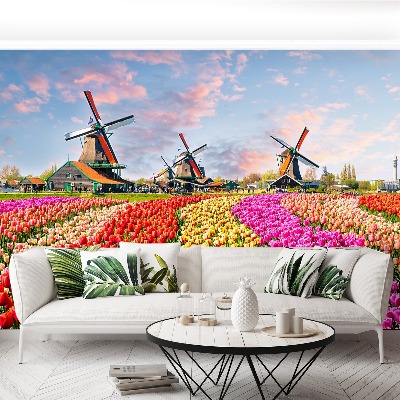 Fotobehang Tulpen windmolens