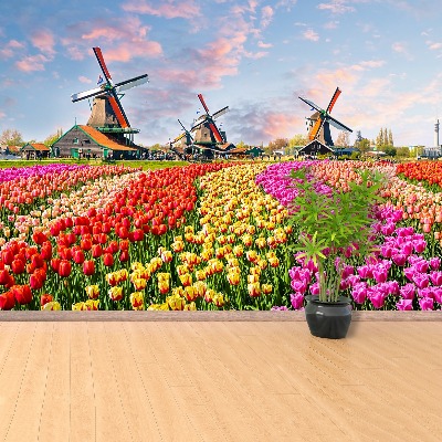 Fotobehang Tulpen windmolens