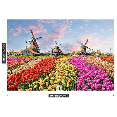 Fotobehang Tulpen windmolens