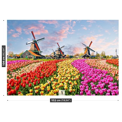 Fotobehang Tulpen windmolens